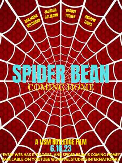 Spider Bean: Coming Home