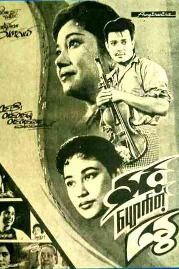 When Snow Fades in Summer Poster