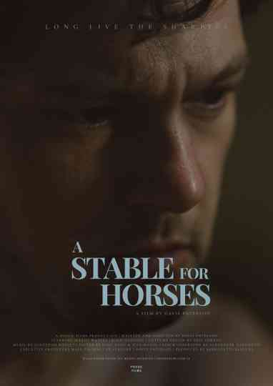 A Stable for Horses