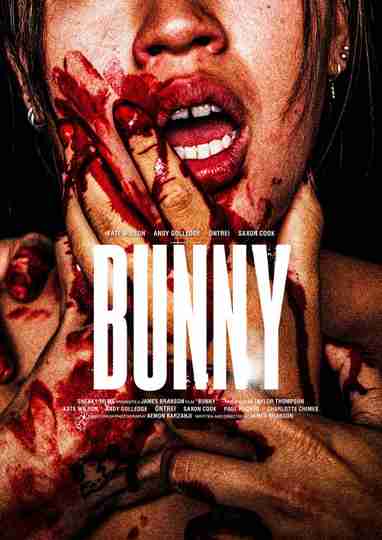 Bunny Poster