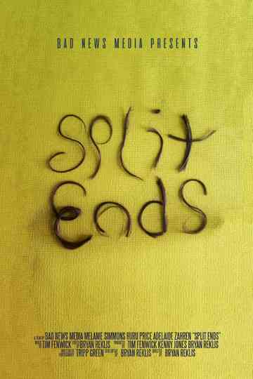 Split Ends Poster