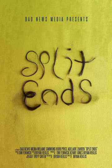 Split Ends Poster