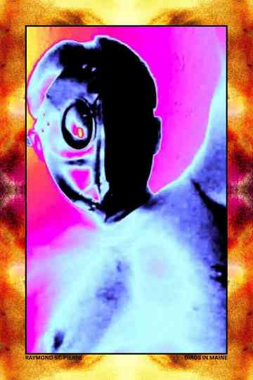 Birds in Maine Poster