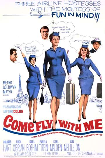 Come Fly with Me Poster