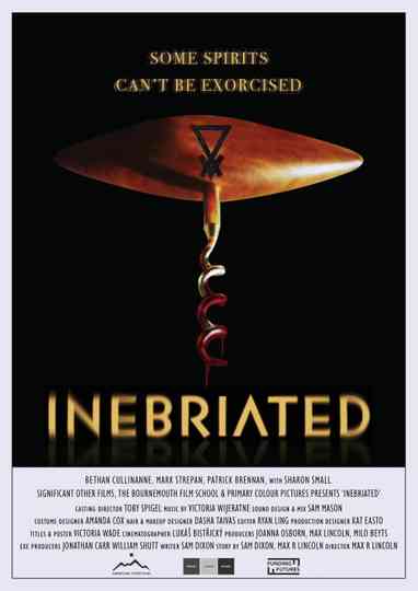 Inebriated Poster