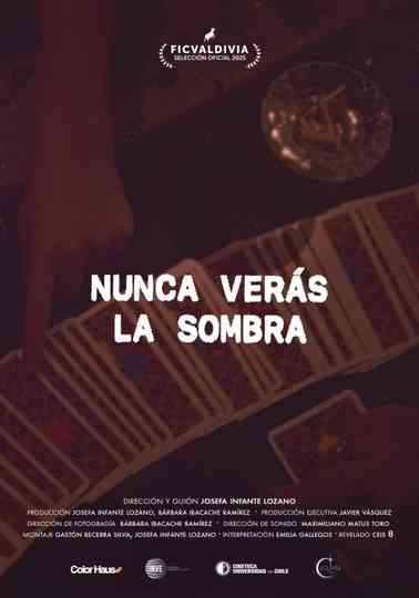 Nunca verás la sombra Poster