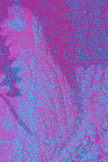 Jeb Rex Memorial Video Poster