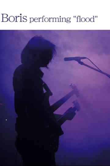 Boris performing flood Poster