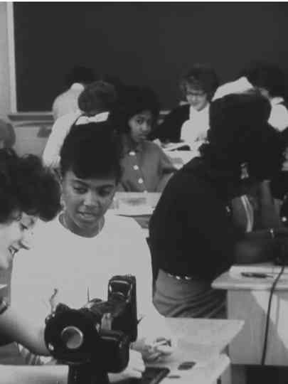 The American Negro Poster