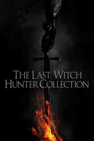 The Last Witch Hunter Collection Poster