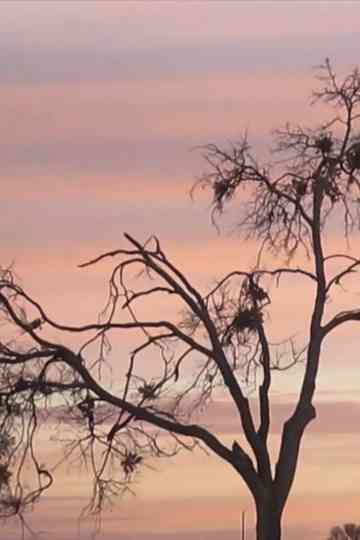 on a windy day Poster