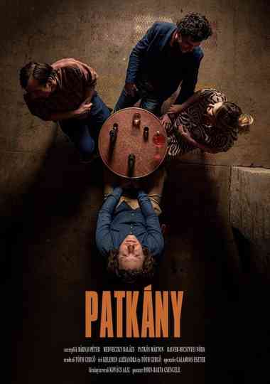 Patkány