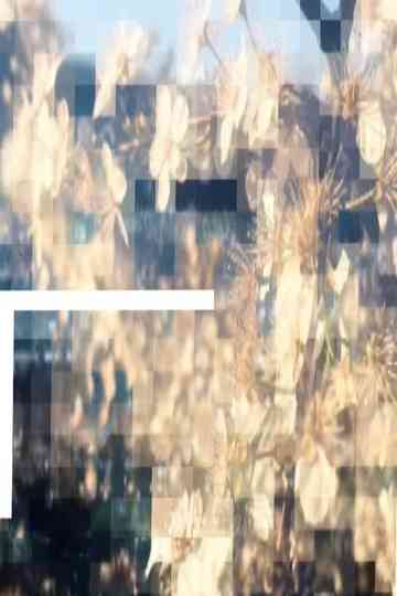 Chamomile Lips Part Four poster