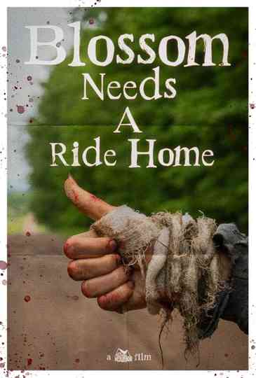 Blossom Needs A Ride Home Poster