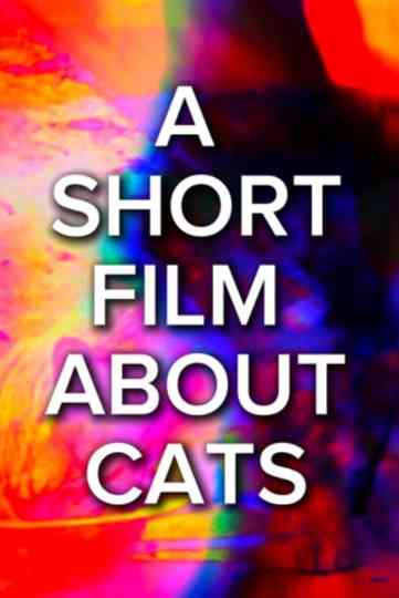 A Short Film About Cats