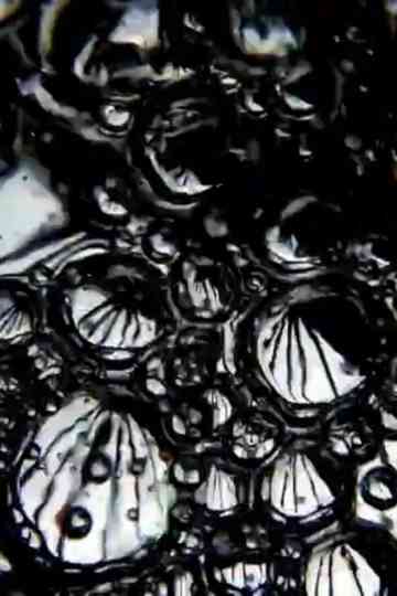 Dark