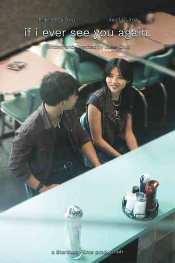 if i ever see you again. Poster