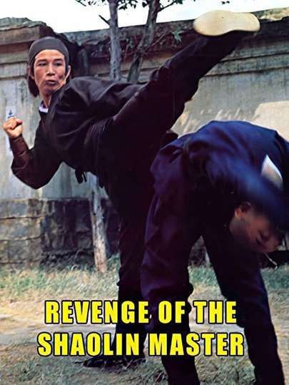 Revenge of a Shaolin Master Poster