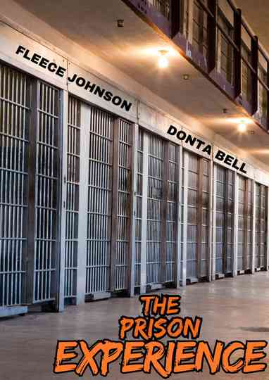The Prison Experience Poster