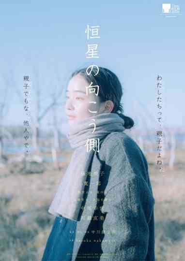 Echoes of Motherhood Poster