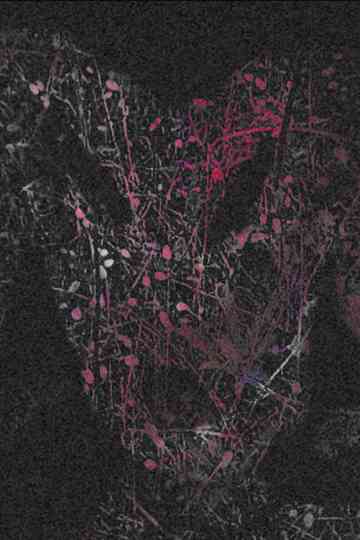 howtobakeacake Poster