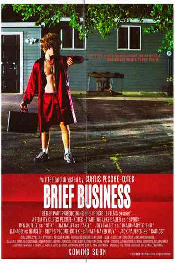 Brief Business