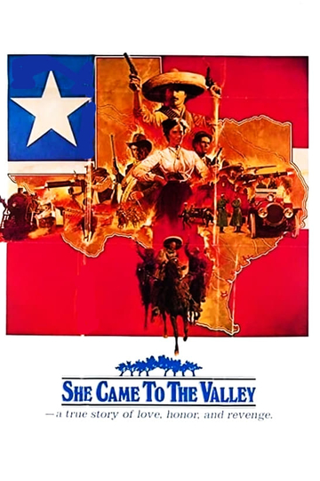 She Came To The Valley Poster