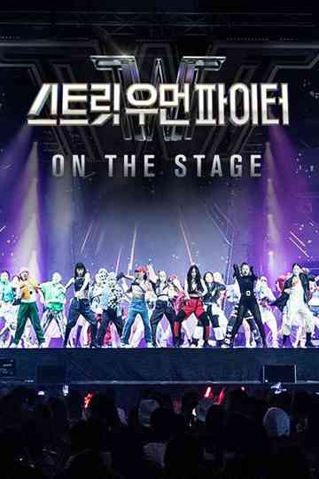 Street Woman Fighter Concerts Poster