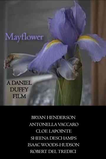 Mayflower Poster