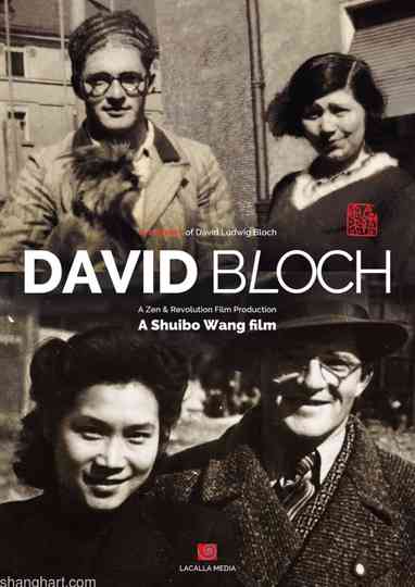 Who is David Bloch Poster