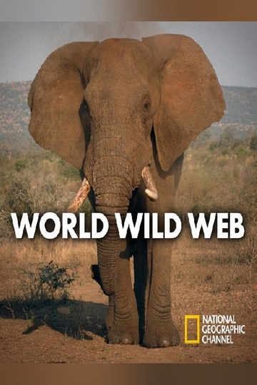 World Wild Web