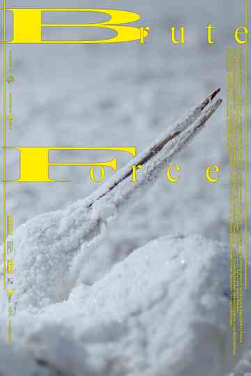 Brute Force Poster