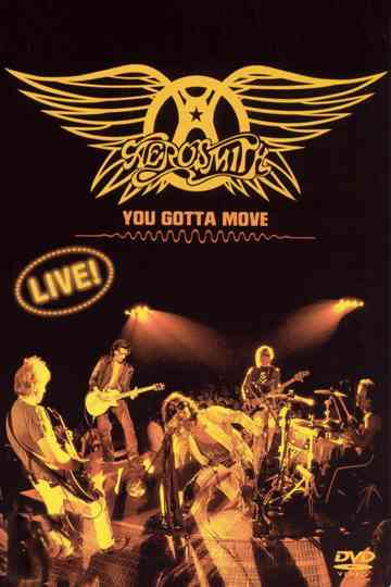 Aerosmith You Gotta Move