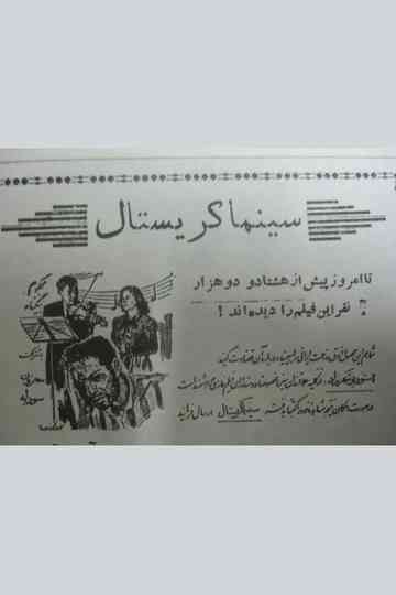 Wrongful Conviction Poster