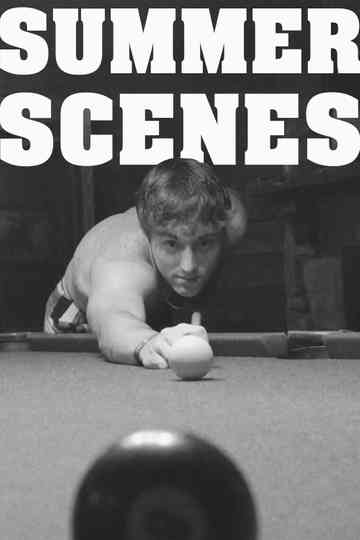 Summer Scenes Poster