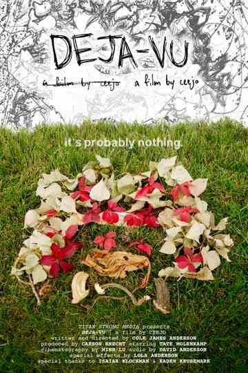 DEJA-VU Poster