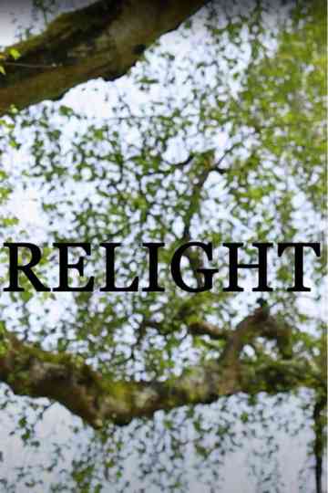 Relight Poster