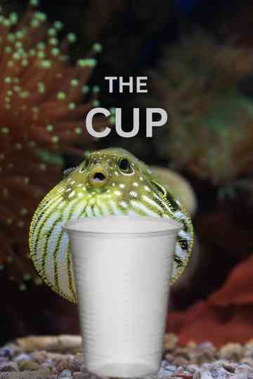 The Cup