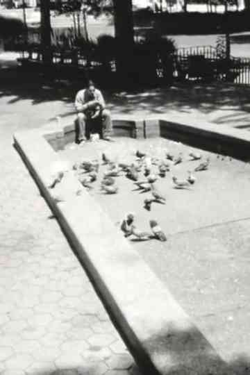 Angels Watching Over Me