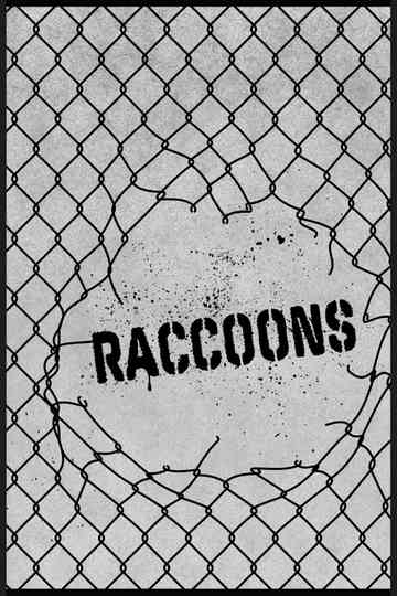 Raccoons Poster