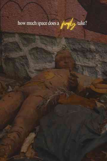 How Much Space Does A Firefly Take? Poster