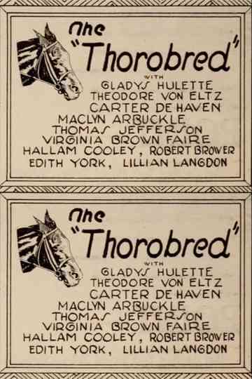The Thoroughbred Poster
