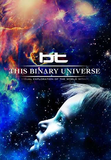 BT  This Binary Universe