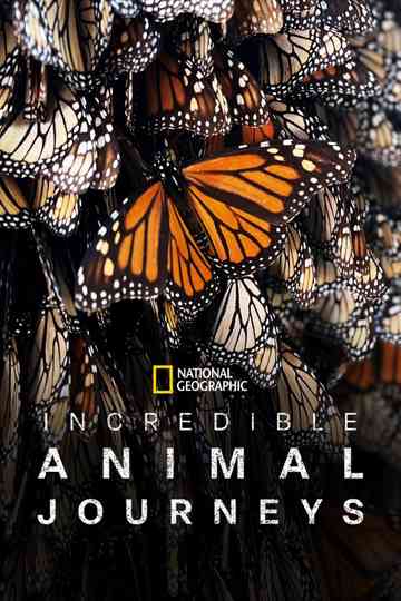 Incredible Animal Journeys poster
