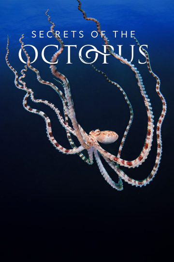 Secrets of the Octopus Poster