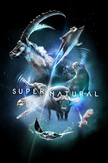 Super/Natural Poster