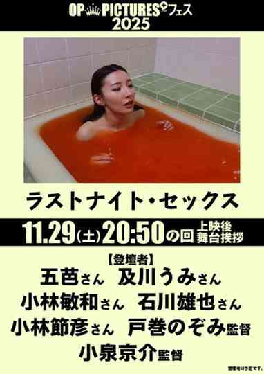 Last Night Sex Poster