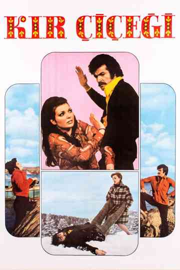 Kır Çiçeği Poster