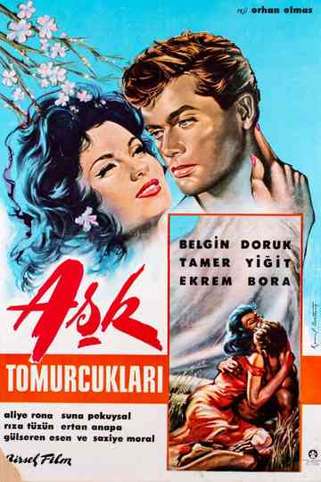 Aşk Tomurcukları Poster