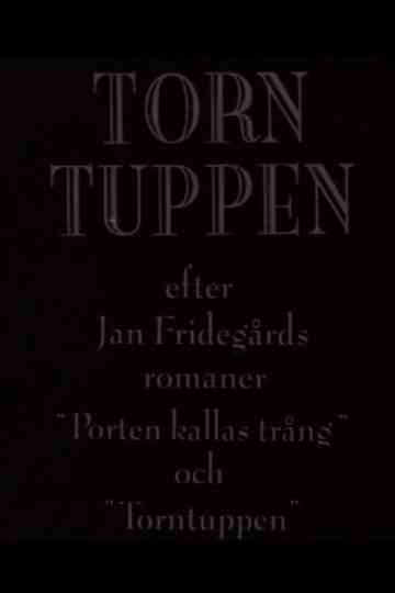 Torntuppen